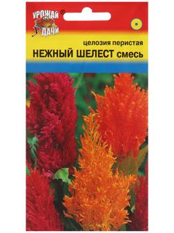 Семена цветов Целозия перистая 