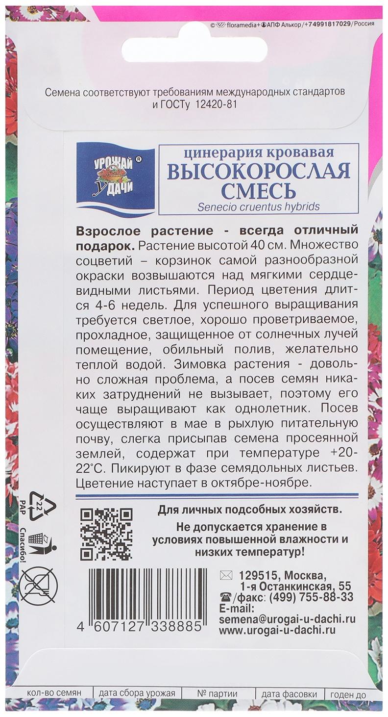 Семена цветов Цинерария высокорослая 