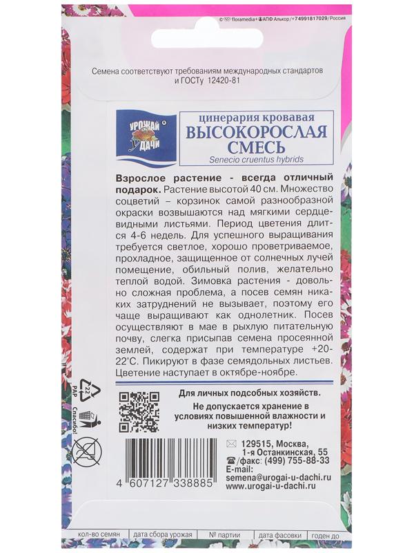 Семена цветов Цинерария высокорослая 