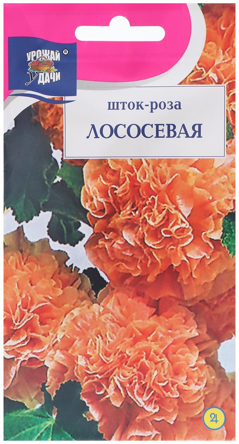 Семена цветов Шток-роза 