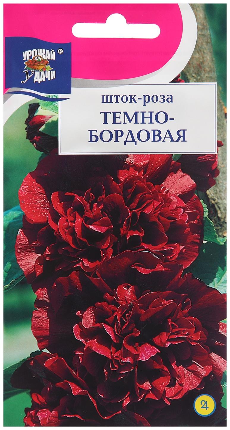 Семена цветов Шток-роза, Тёмно-бордовая 0,1 г