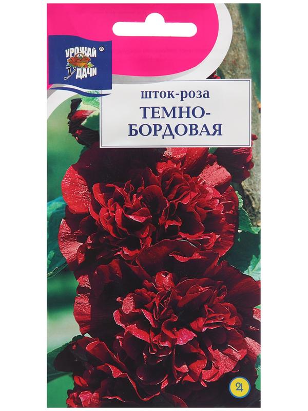 Семена цветов Шток-роза, Тёмно-бордовая 0,1 г