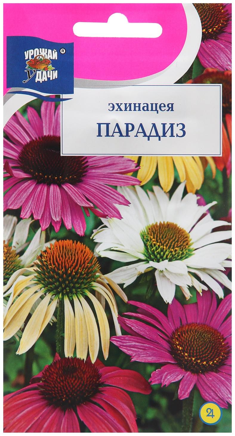 Семена цветов Эхинацея 