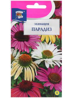 Семена цветов Эхинацея 