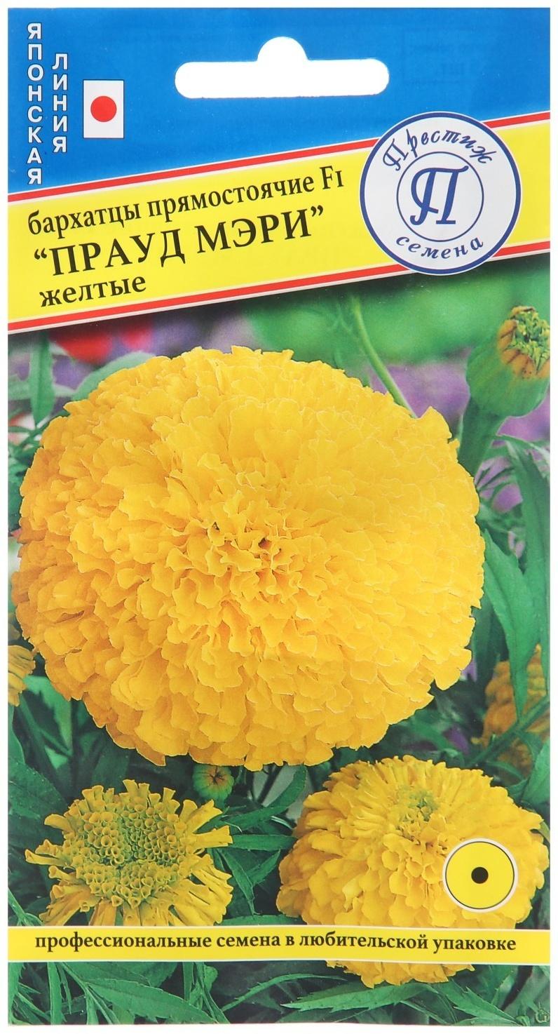 Семена цветов Бархатцы прямостоячие 