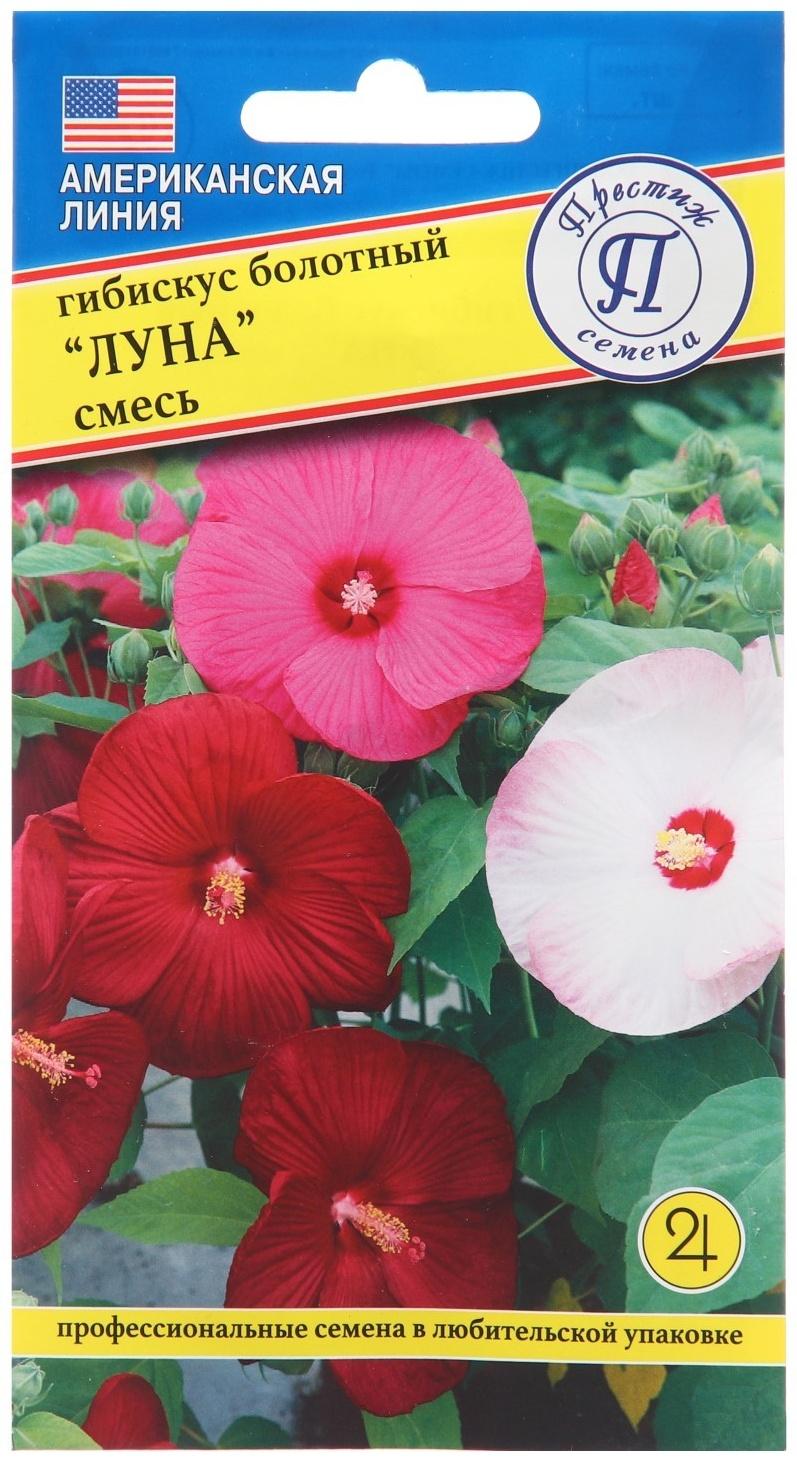 Семена цветов Гибискус болотный 