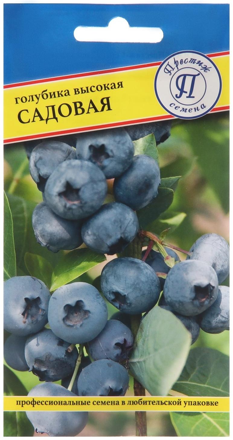 Семена Голубика 