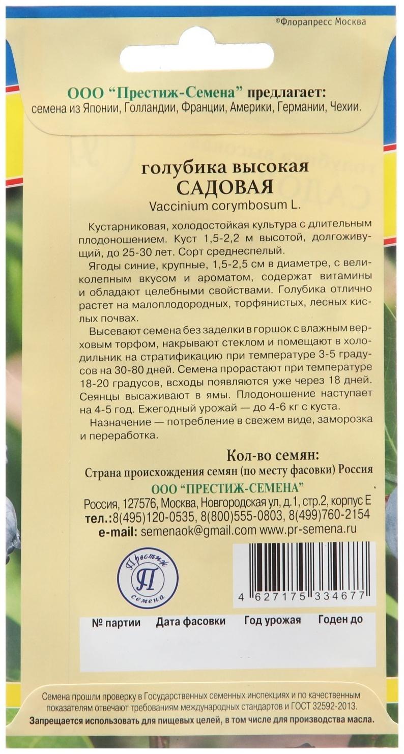 Семена Голубика 