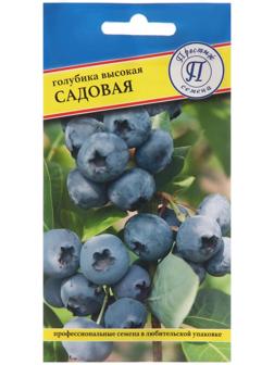 Семена Голубика 