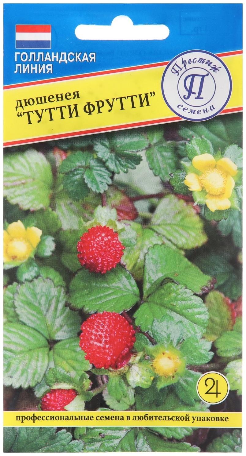 Семена цветов Дюшинея индийская 