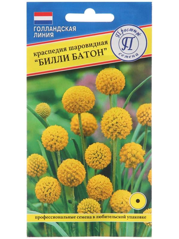 Семена цветов Краспедия шаровидная 