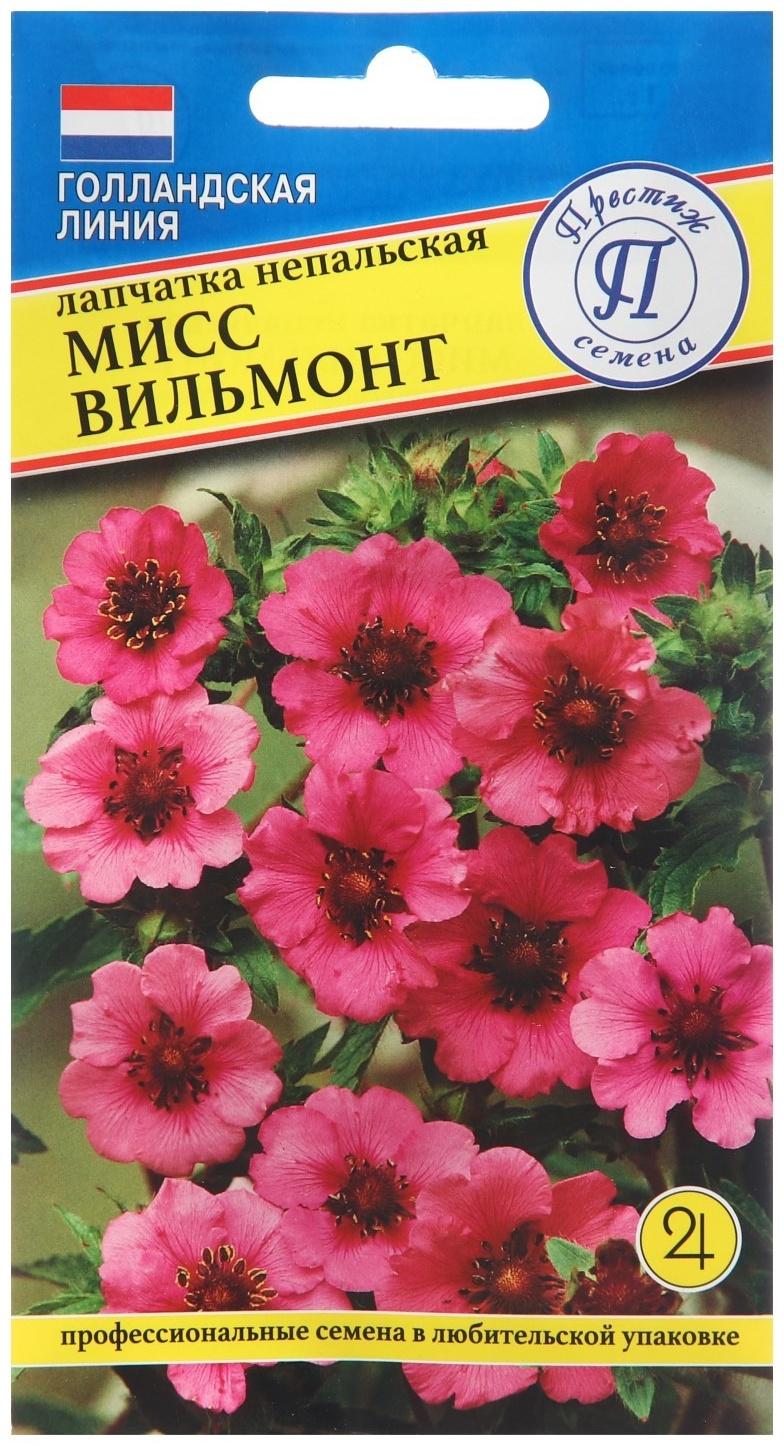 Семена цветов Лапчатка 