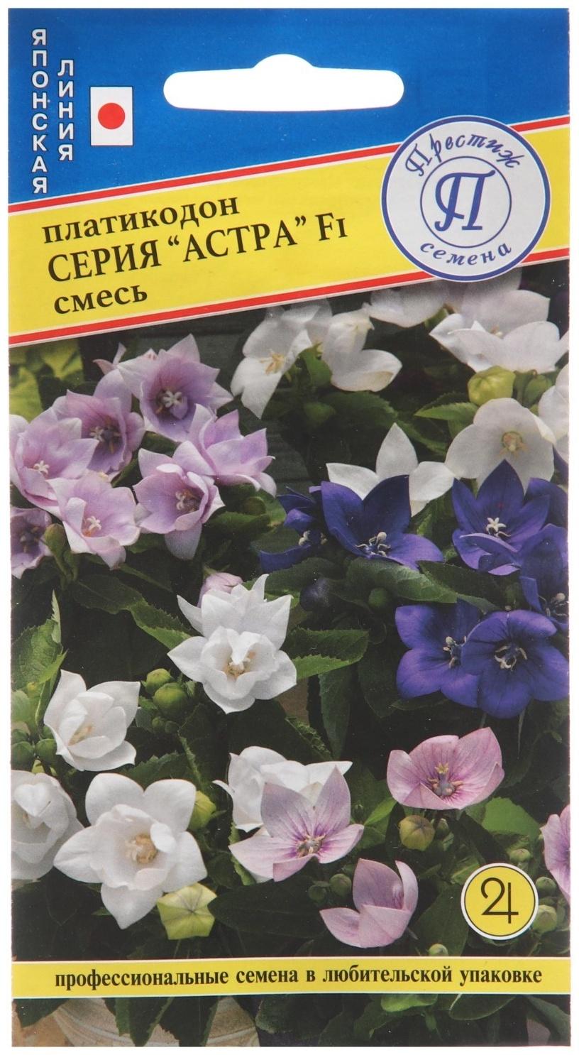 Семена цветов Платикодон 