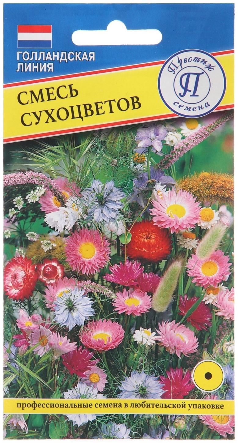 Семена цветов Смесь сухоцветов, 0,1 гр