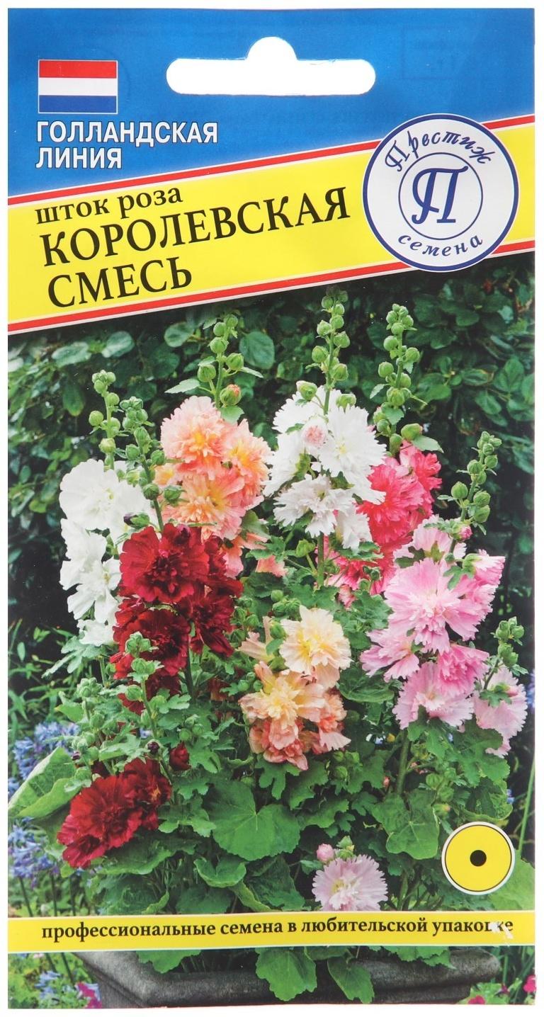 Семена цветов Шток роза 