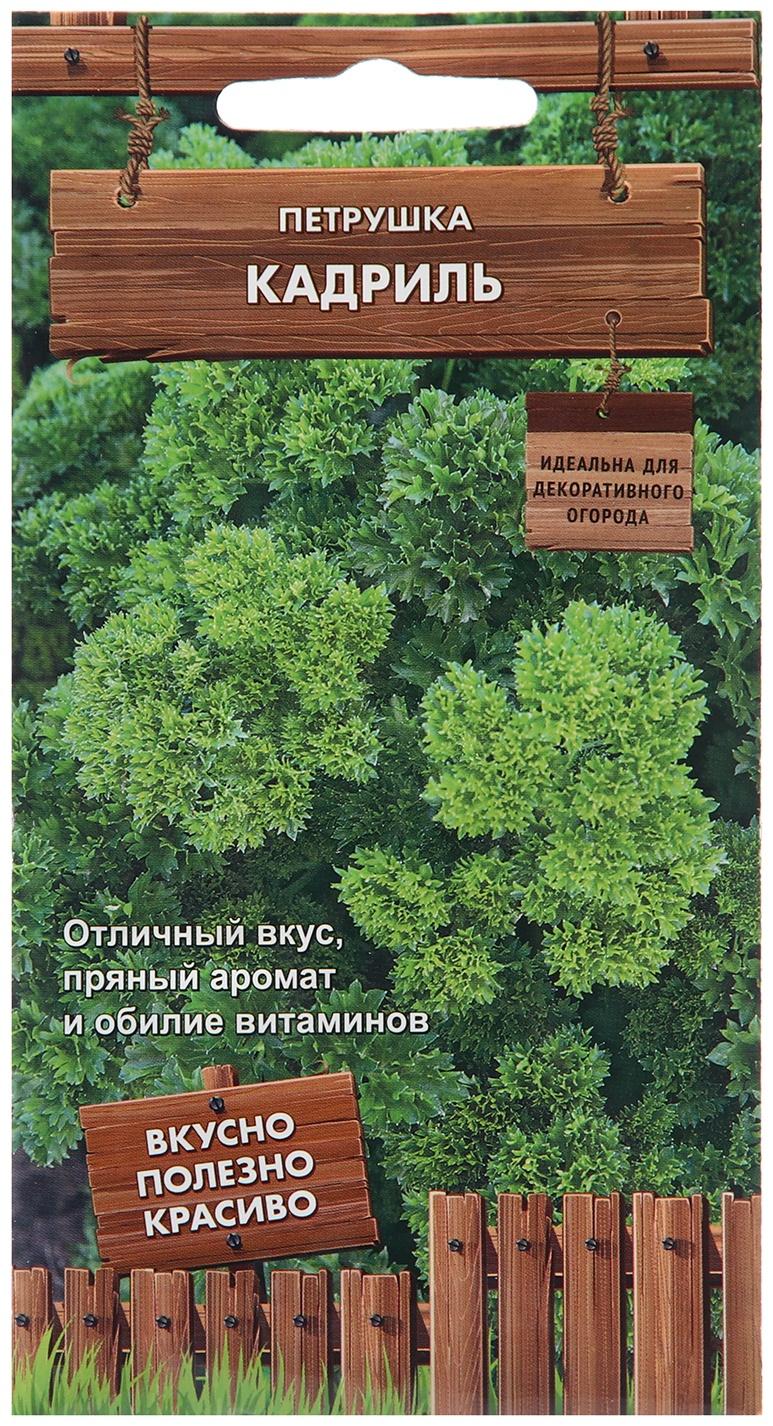 Семена Петруштка 