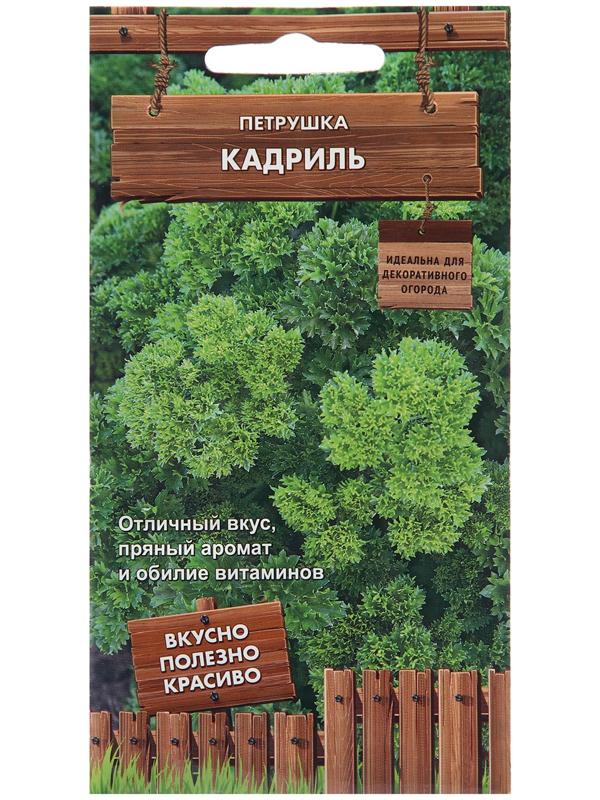 Семена Петруштка 