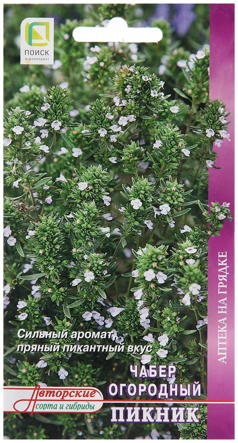 Семена Чабер огородный 