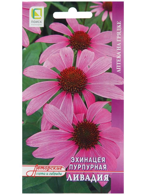 Семена Эхинацея пурпурная 