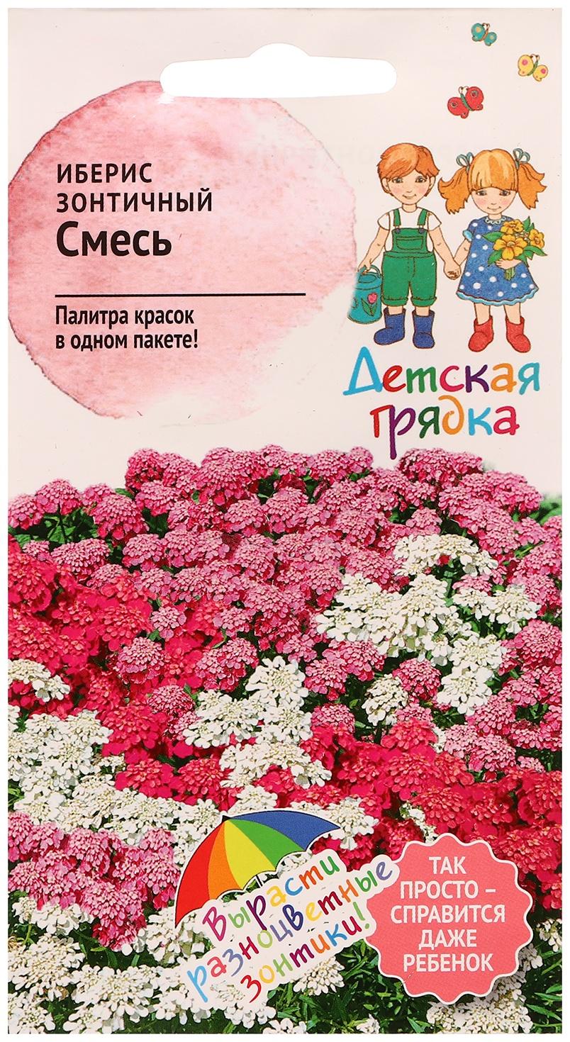 Семена цветов Иберис зонтичный 