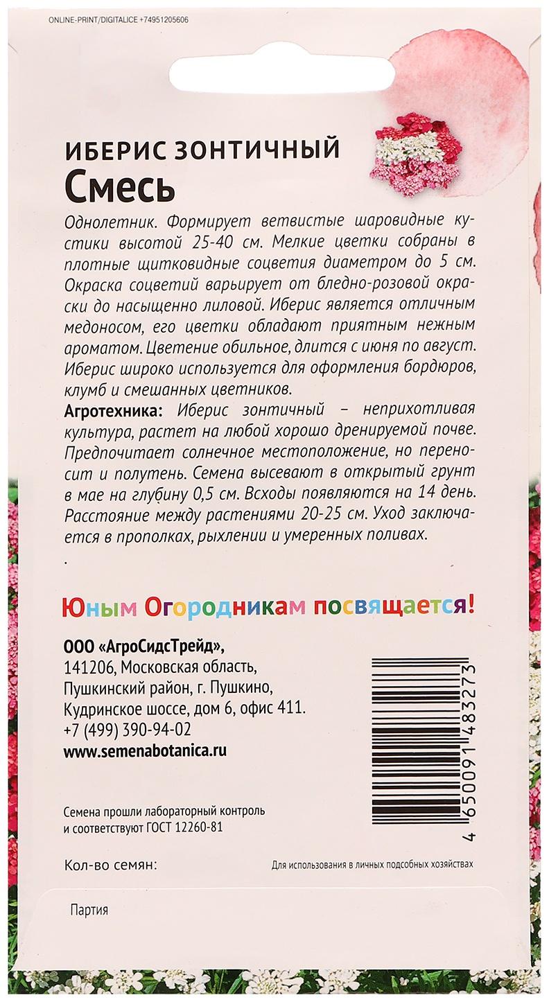 Семена цветов Иберис зонтичный 