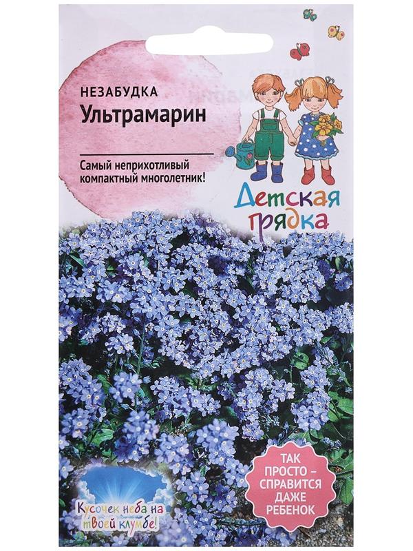 Семена цветов Незабудка 