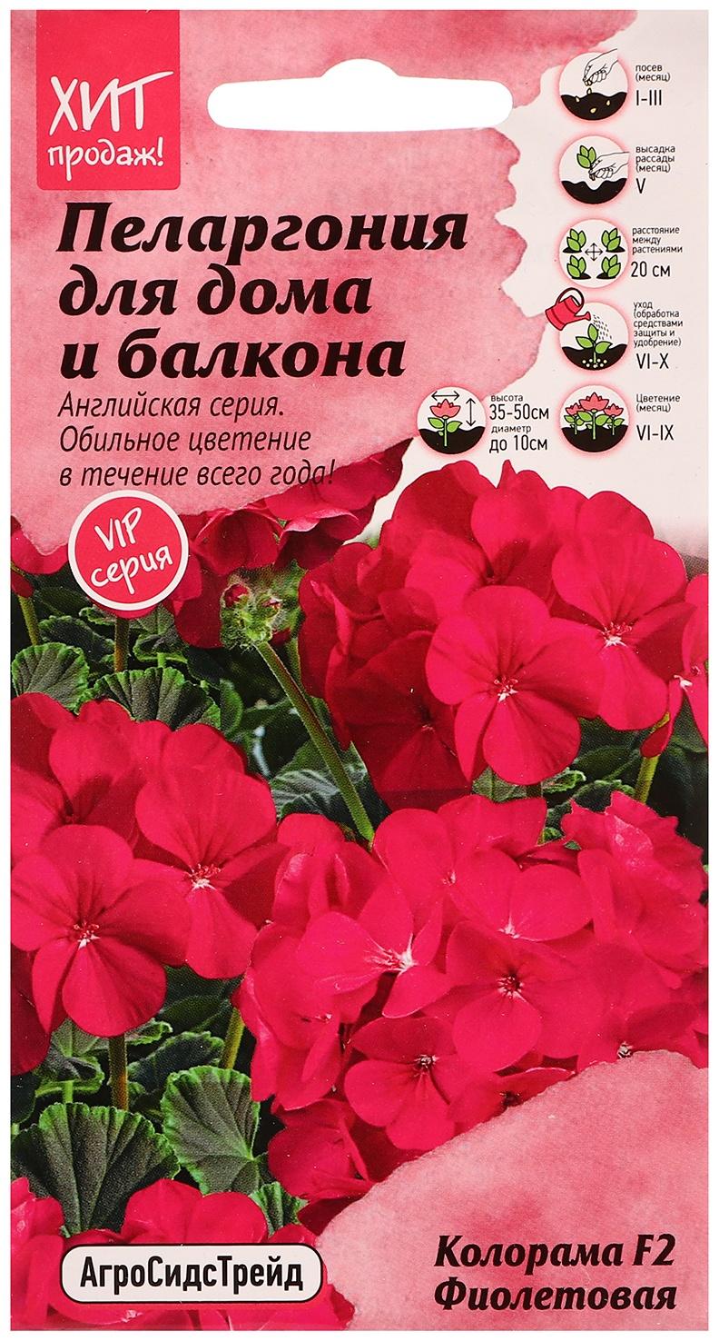 Семена цветов Пеларгония 