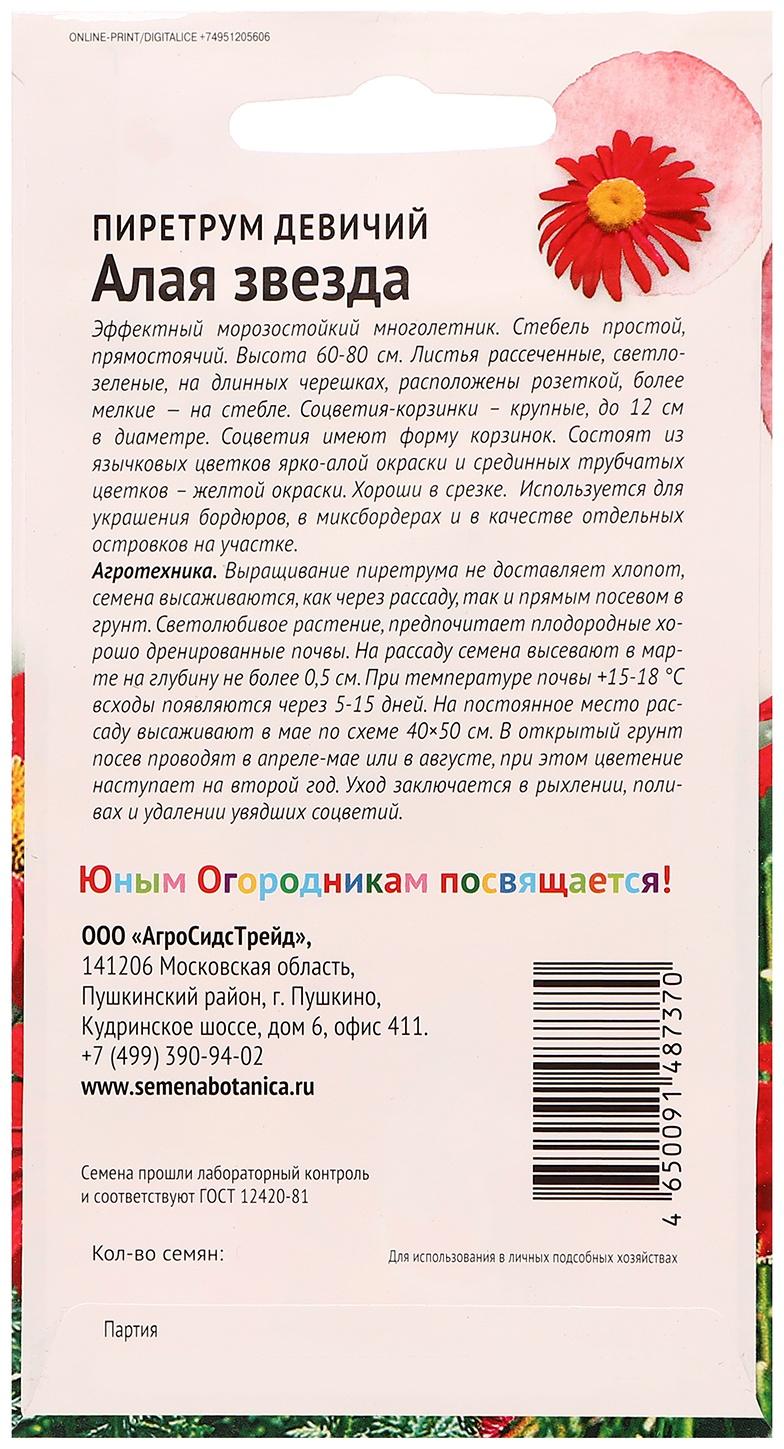 Семена цветов Пиретрум девичий 