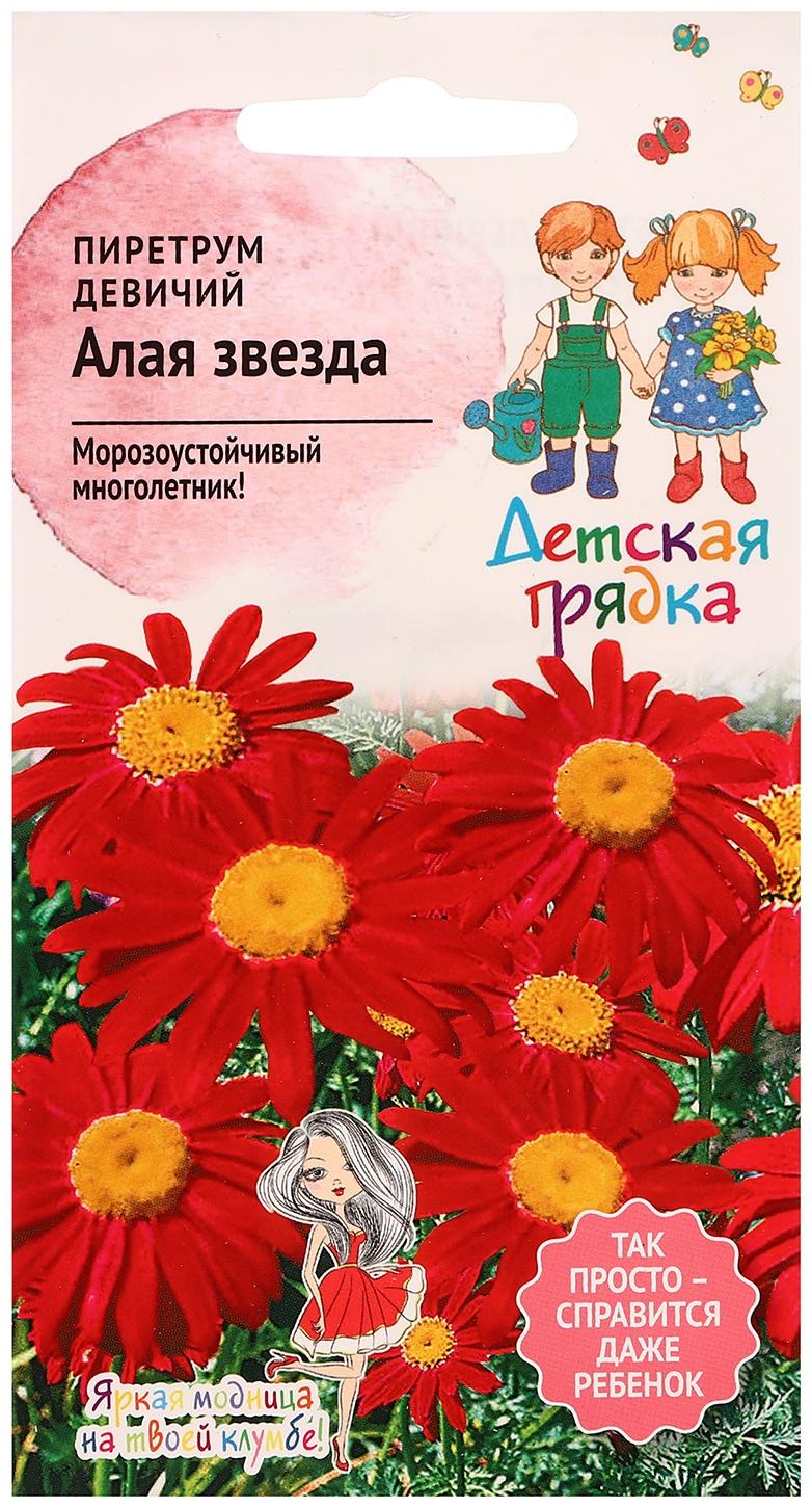 Семена цветов Пиретрум девичий 