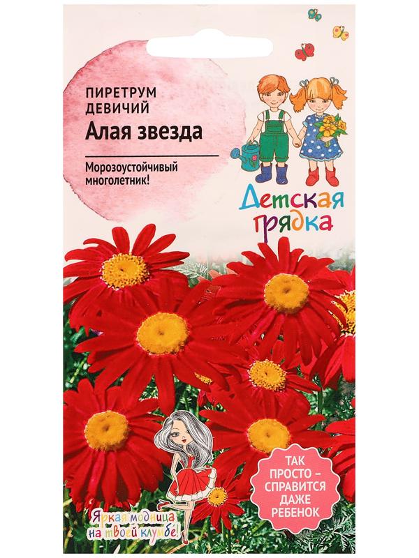 Семена цветов Пиретрум девичий 