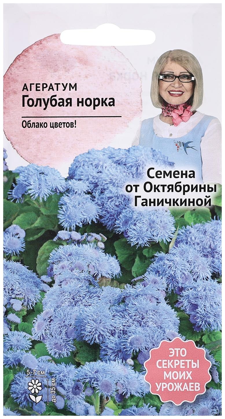 Семена цветов Агератум 