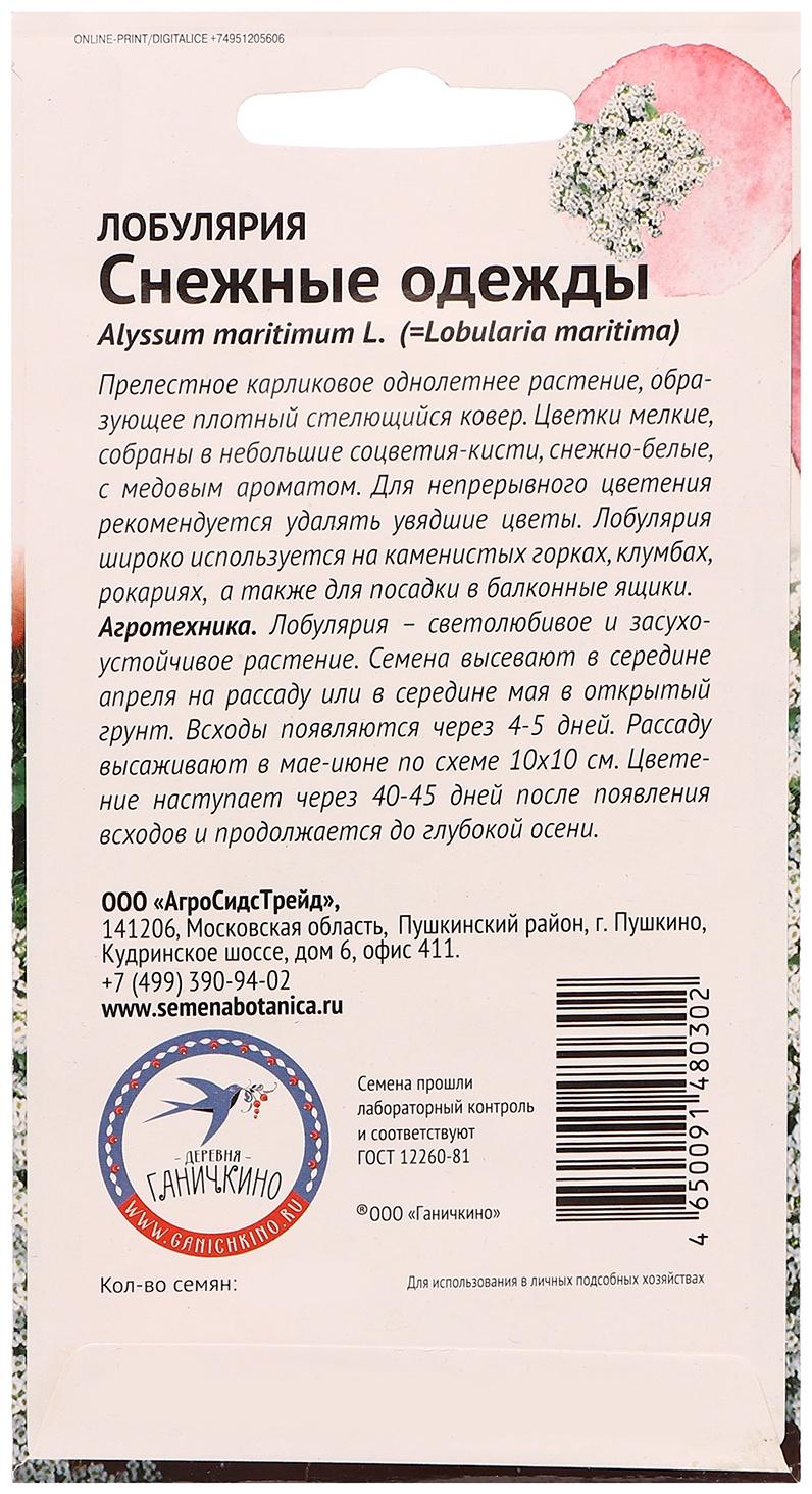 Семена цветов Алиссум (лобулярия) 