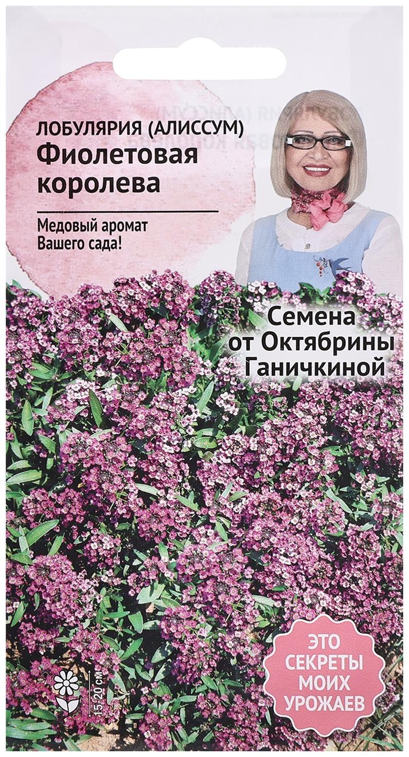 Семена цветов Алиссум (лобулярия) 