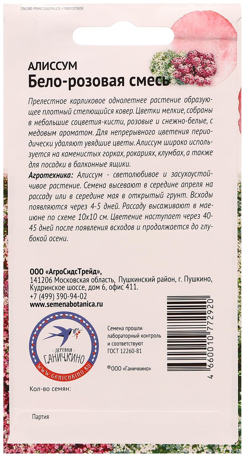 Семена цветов Алиссум 