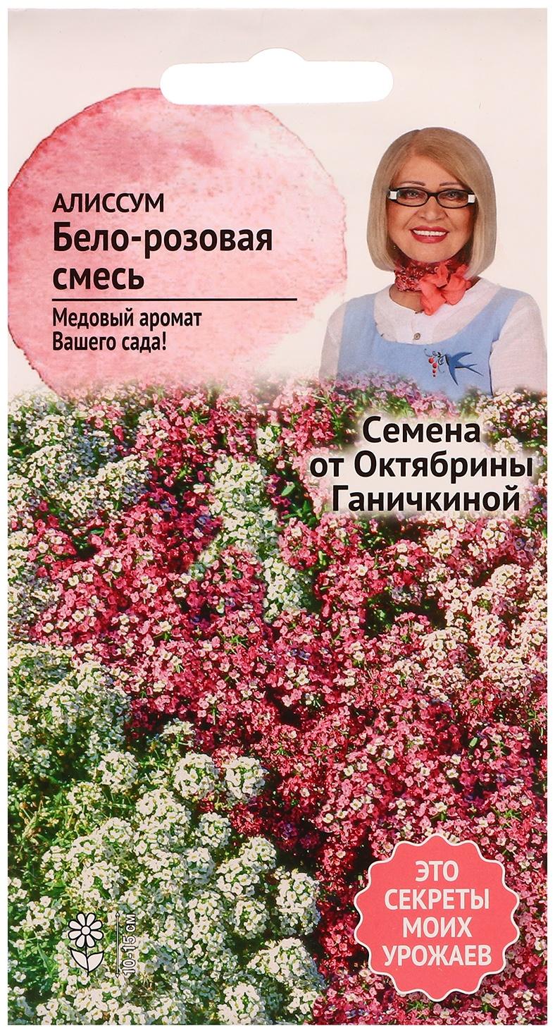 Семена цветов Алиссум 