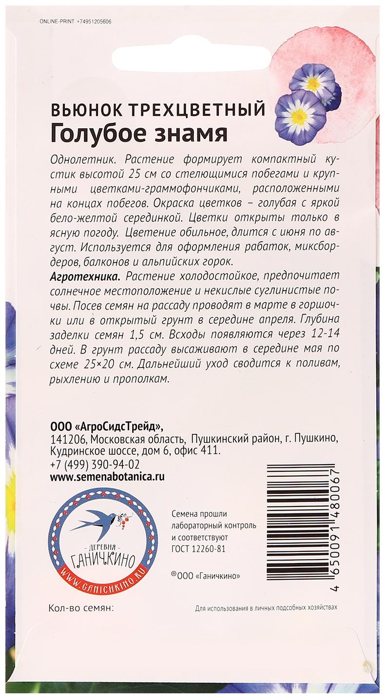 Семена цветов Вьюнок трехцветный 