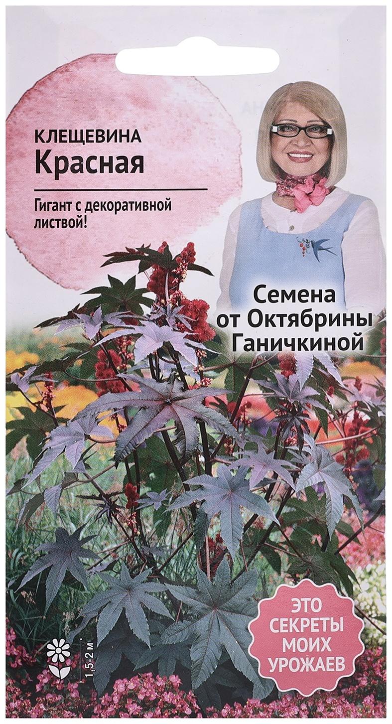 Семена цветов Клещевина 