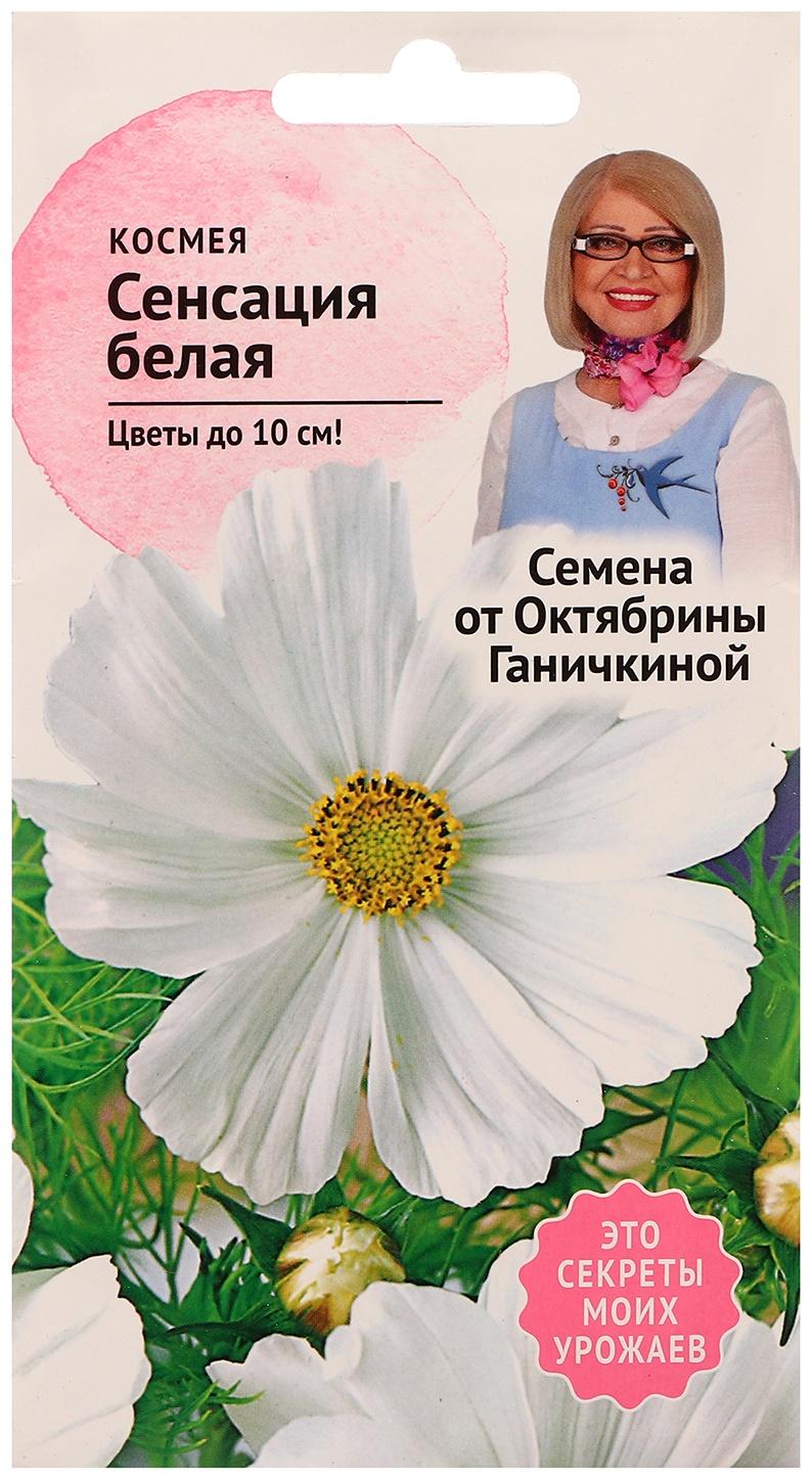 Семена цветов Космея 