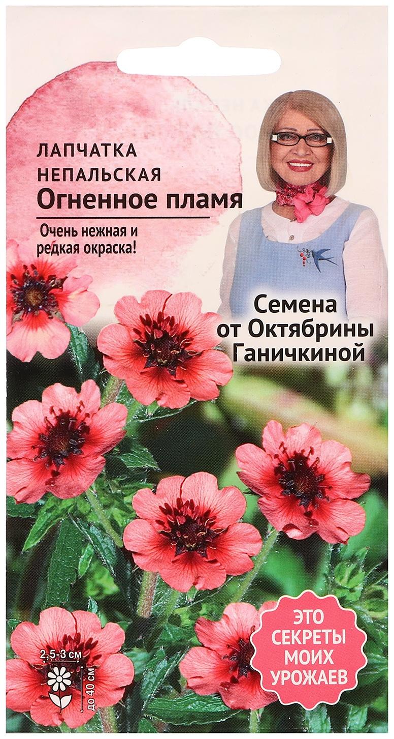 Семена цветов Лапчатка 