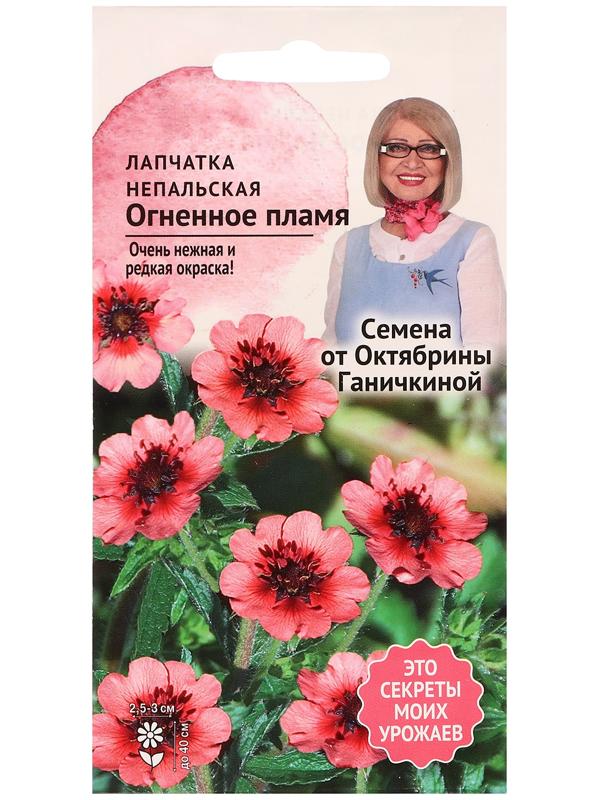 Семена цветов Лапчатка 