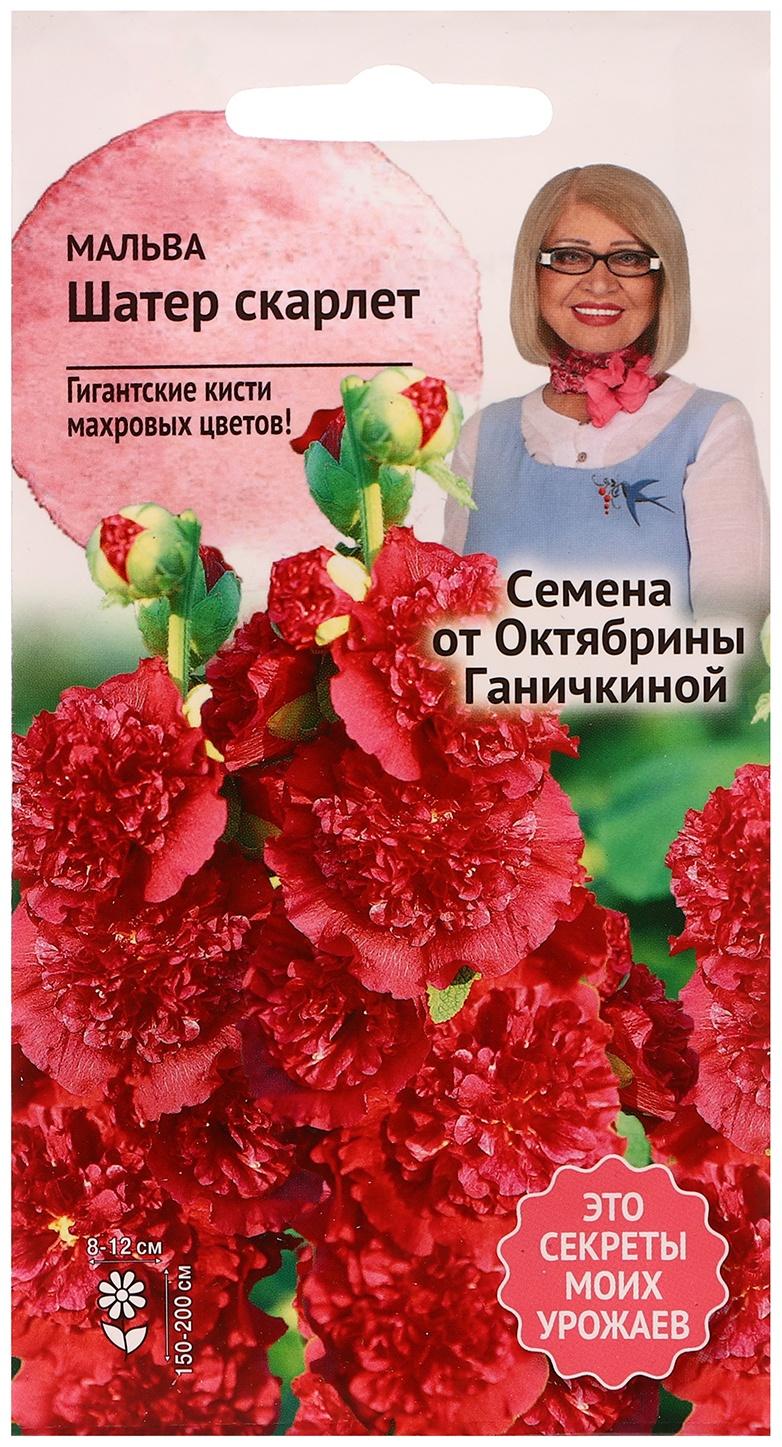 Семена цветов Мальва 