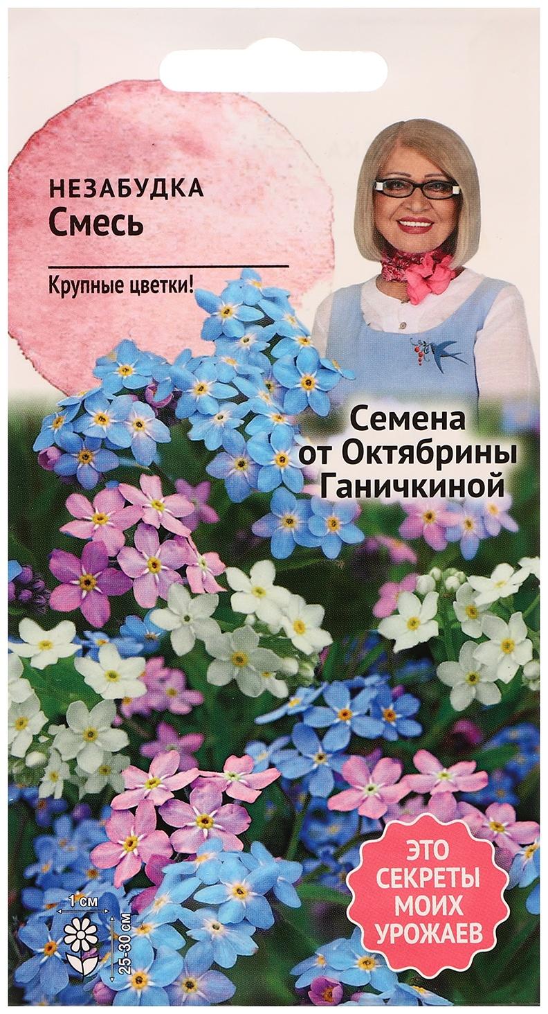 Семена цветов Незабудка 