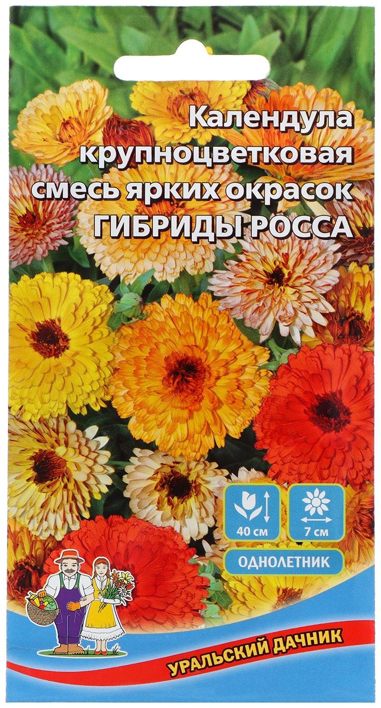 Семена Цветов Календула крупноцветковая  