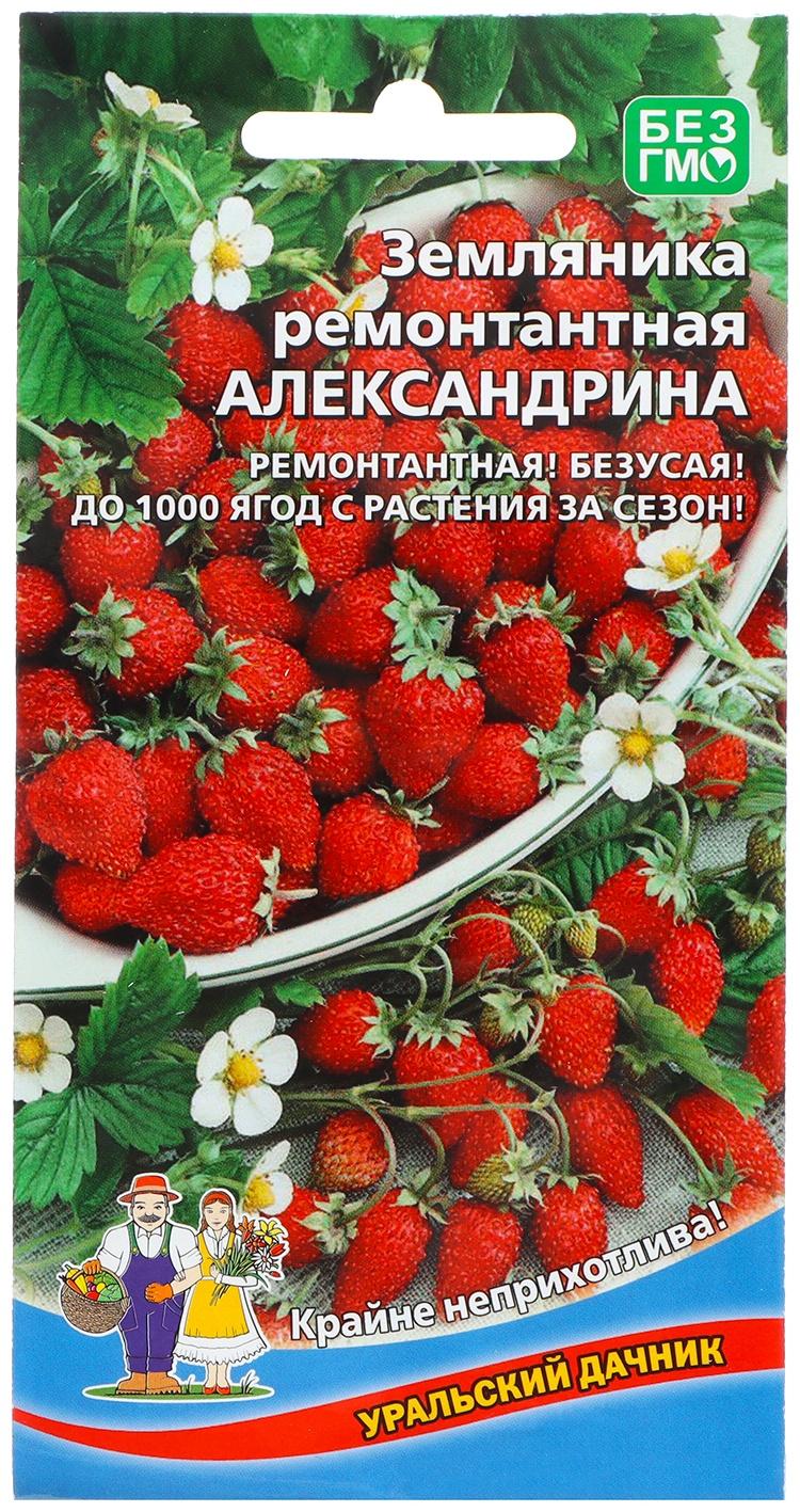 Семена Земляника 