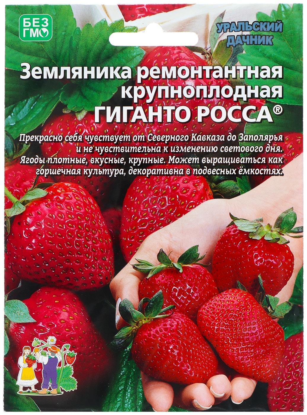 Семена Земляника 