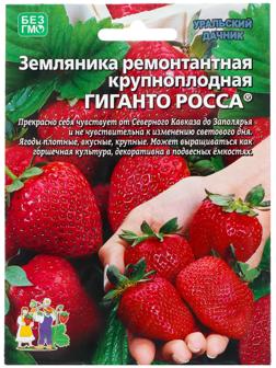 Семена Земляника 