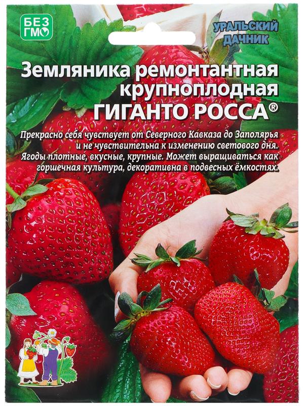 Семена Земляника 