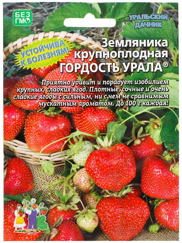 Семена Земляника 