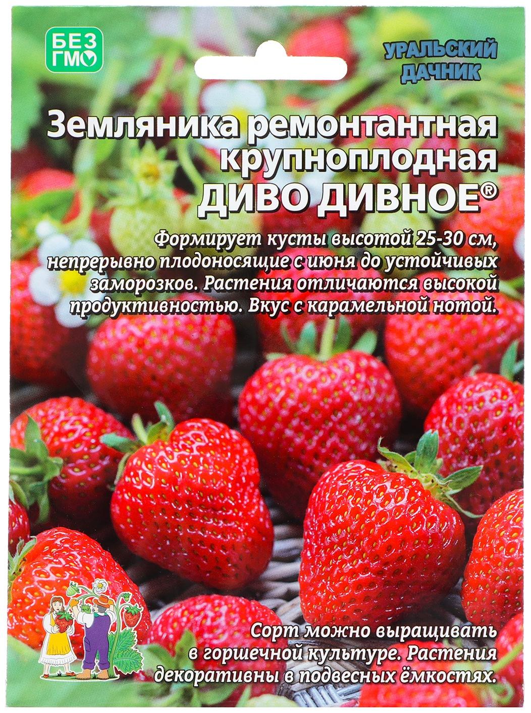 Семена Земляника