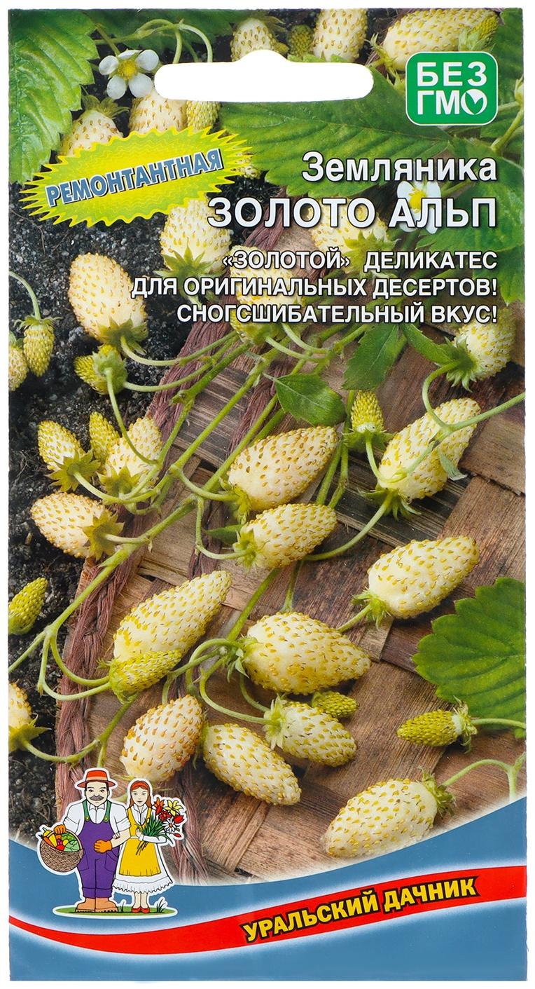 Семена Земляника 